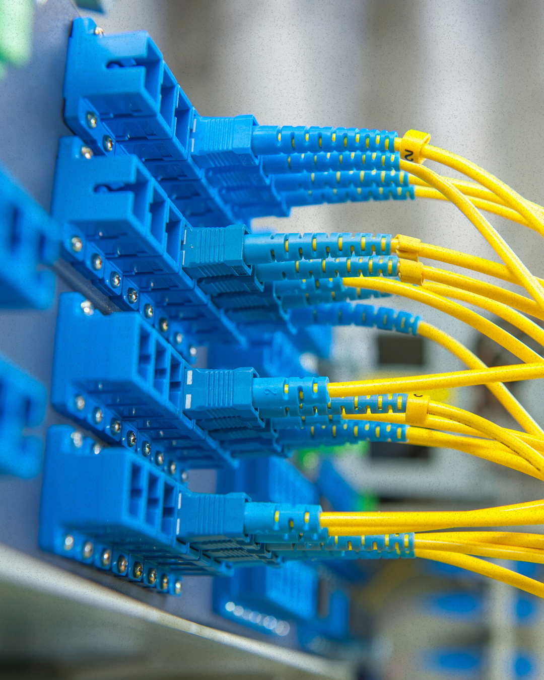 Conectores e cabos de rede em um painel de infraestrutura